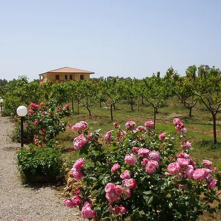 ベッド・アンド・ブレックファスト Le Camelie アルゲーロ