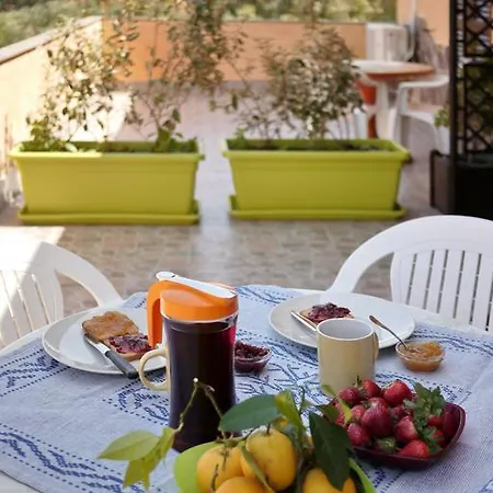 Bed & Breakfast Le Camelie Alghero