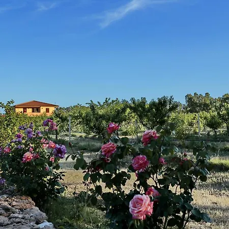 Bed & Breakfast Le Camelie