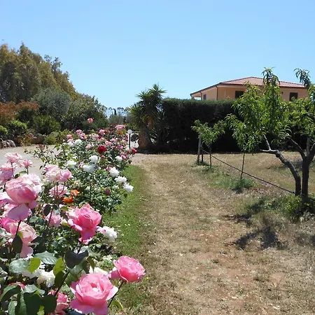 Le Camelie Bed & Breakfast